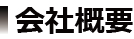 ЊTv